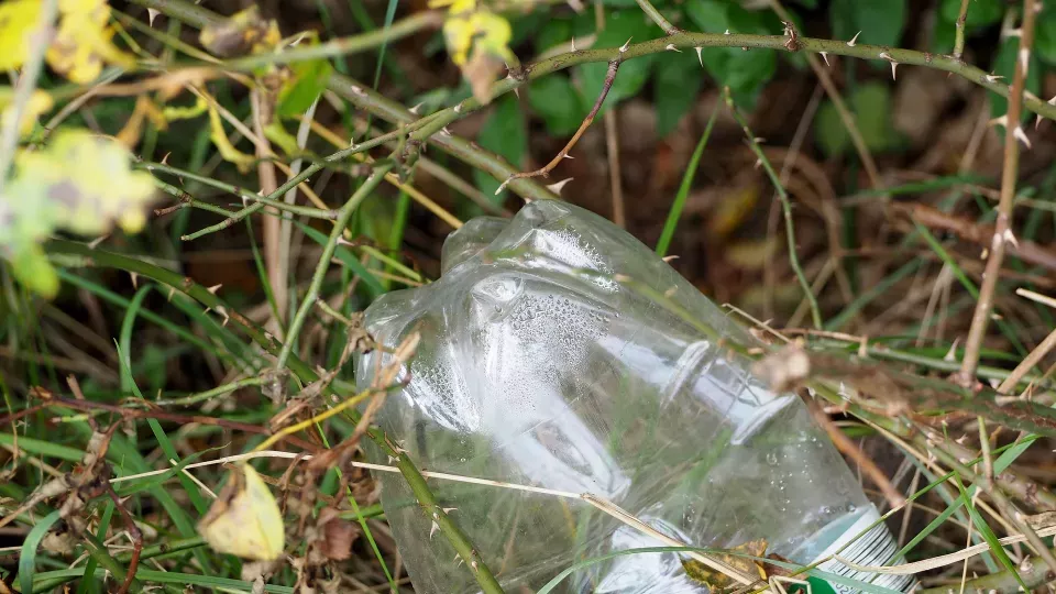 Picture of an empty plastic bottle laying on the ground.
