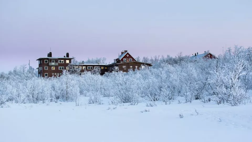 A brown larger house with snowy bushes in front. Photo.