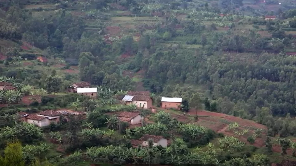 Countryside in Rwanda. Red earth, with green trees and five small houses. Photo