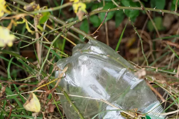 Picture of an empty plastic bottle laying on the ground.