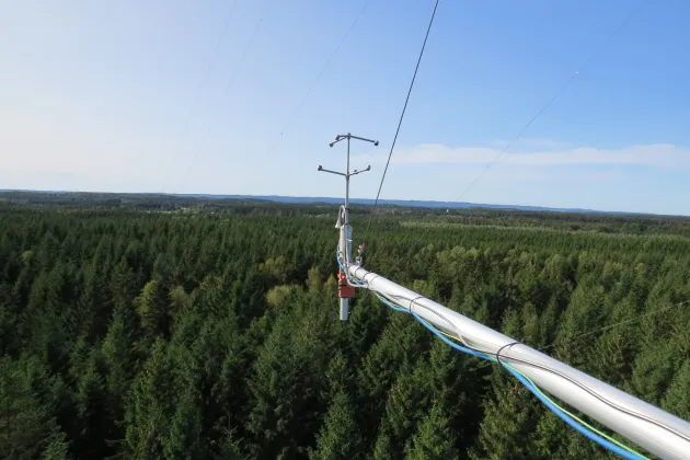 Hyltemossa mätstation från ovan med skog. Foto. 