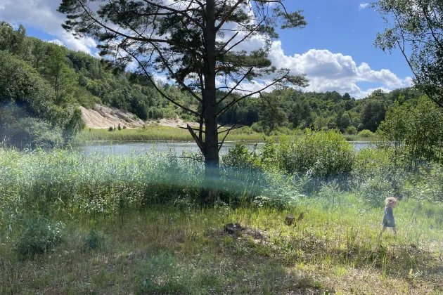 Skog på Ivö vid ett kalkbrott, med ett barn i förgrunden