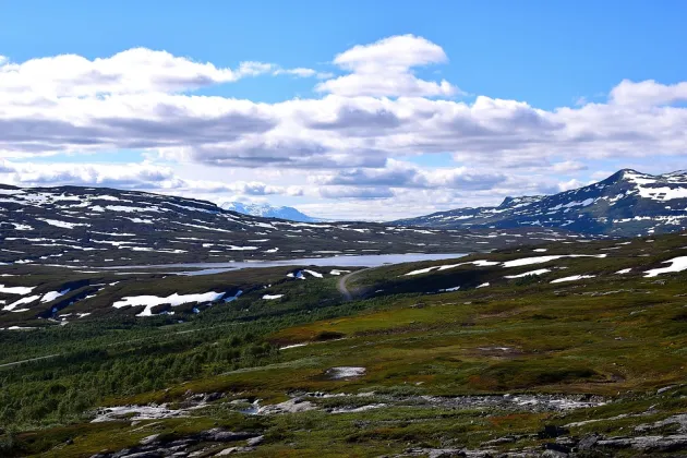 Arctic
