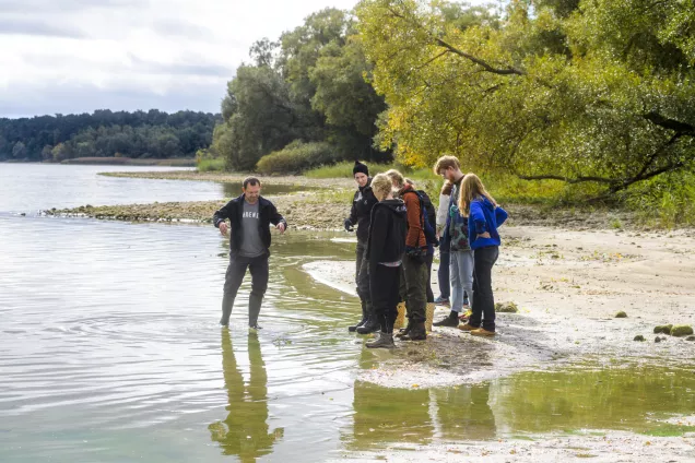 Five people standing in the water by a beach to study water living animals. Photograph.