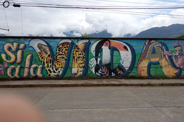 Colourful wall painting saying Si a la Vida