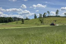 A field of grass fodder on a sunny day of summer
