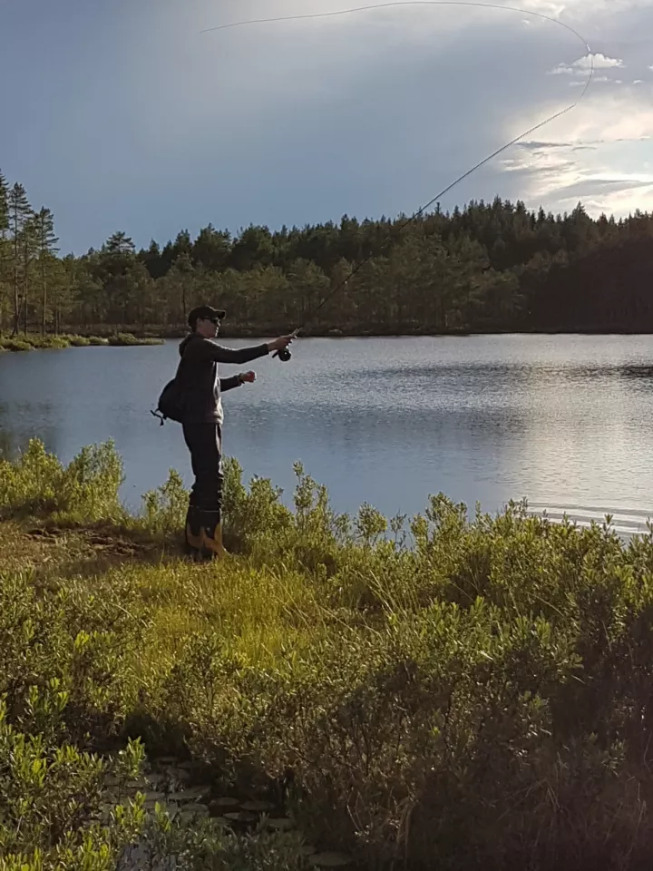 Man fishing with forest in the background. Photo.