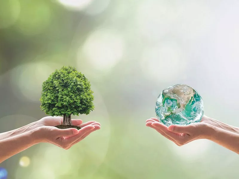 Two hands, one holding a tree the other holding a globe. Illustration.
