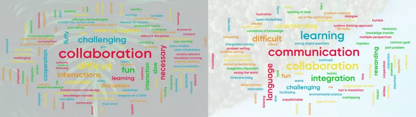 wordpuzzle change of perception on interdisciplinary