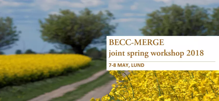 BECC-MERGE joint spring meeting